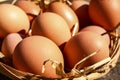 Close up of brown hens eggs in a basket Royalty Free Stock Photo