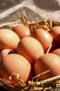 Close up of brown hens eggs in a basket Royalty Free Stock Photo