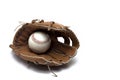 Closeup brown leather baseball glove ball stitching Royalty Free Stock Photo