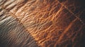 Close-Up Brown Leather Texture Background Royalty Free Stock Photo