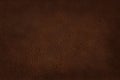 Close up of brown leather texture background with seamless pattern Royalty Free Stock Photo