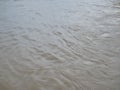 Close up of brown muddy murky river surface in a rural area after heavy rain