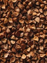 A close up of brown nuts with a grainy texture Royalty Free Stock Photo