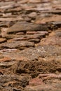 Detail of A Weathered Brick Wall on a Sunny Day