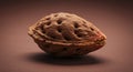 Close Up of a Brown Peach Pit on Dark Background Royalty Free Stock Photo