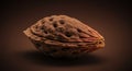 Close-up of a Brown Peach Pit on Dark Background Royalty Free Stock Photo