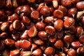 Close up of brown ripe chestnuts in a basket during autumn harvest, whole fresh and seasonal food for a healthy diet Royalty Free Stock Photo