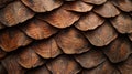 Close-up of Brown Scaled Surface Royalty Free Stock Photo