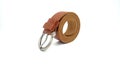 Brown snake leather belt on isolated white Royalty Free Stock Photo