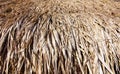 Close-up of brown thatch background Royalty Free Stock Photo