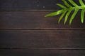 close up brown wooden floor texture background with green leaf of fern, interior design Royalty Free Stock Photo