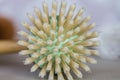 close up of brush bristles Royalty Free Stock Photo