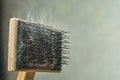 Close-up brush for combing wool pet