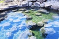 close-up of bubbling hot spring water Royalty Free Stock Photo
