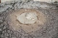 Close-up of bubbling mud in crater of mud volcano