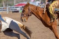 Close Up Of A Bucking Horse Being Ridden In A Country Rodeo