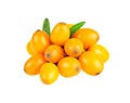 Close-up of buckthorn on white with clipping path Royalty Free Stock Photo