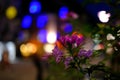 close-up of buds of lilac flowers, night city with lights of light, beautiful natural background, abstract banner, blue, green, Royalty Free Stock Photo