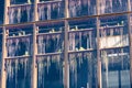 Close up of building wall made of large window panes, with succulent plants seen behind the glass, forming a vertical garden Royalty Free Stock Photo