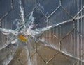 Bullet Hole in Wire Mesh Glass with Ridges Royalty Free Stock Photo