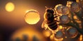 Close up of a bumble bee on honey nectar. Backlit silhouette. Generative ai