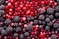 close-up of the bumpy surface of frozen berries