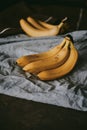 Close-up of a bunch of bananas on a dark fabric Royalty Free Stock Photo