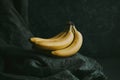 Close-up of a bunch of bananas on a dark fabric Royalty Free Stock Photo