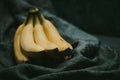 Close-up of a bunch of bananas on a dark fabric Royalty Free Stock Photo