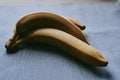 Close-up of a bunch of bananas on a dark fabric