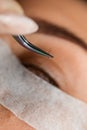 close-up of bunch of black false eyelashes in multi-colored steel tweezers. Eyelash extension procedure.