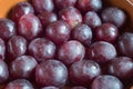 Close-up of a bunch of black grapes in a clay jar. Royalty Free Stock Photo