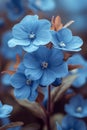 A close up of a bunch of blue flowers with brown stems, AI