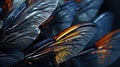 A close up of a bunch of blue and orange feathers, AI