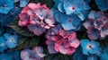 A close up of a bunch of blue and pink flowers, AI