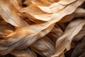 a close up of a bunch of brown feathers