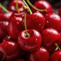 A close up of a bunch of cherries with water droplets, AI Royalty Free Stock Photo