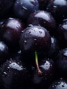 a close up of a bunch of cherries with water droplets on them Royalty Free Stock Photo