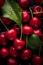 a close up of a bunch of cherries with water droplets on them Royalty Free Stock Photo