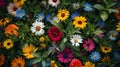 A close up of a bunch of colorful flowers in the grass, AI