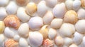 A close up of a bunch of different colored shells, AI