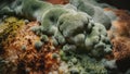 A close up of a bunch of different types of fungus, AI