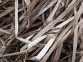 Close-up of a bunch of dried leaves