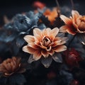 a close up of a bunch of flowers with red and orange petals