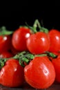 close up of bunch of fresh cherry tomatoes with green stems isolated on dark grey background Royalty Free Stock Photo