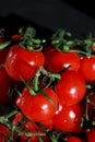 close up of bunch of fresh cherry tomatoes with green stems isolated on dark grey background Royalty Free Stock Photo