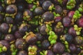 Fresh Mangosteen Close up