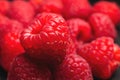 Close up, a bunch of fresh and ripe red raspberries. Pink raspberry macro shot Royalty Free Stock Photo
