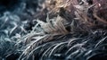 a close up of a bunch of frosty leaves on a window