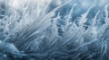 a close up of a bunch of frosty plants in a field with blue sky in the background and a blurry image of leaves in the foreground Royalty Free Stock Photo